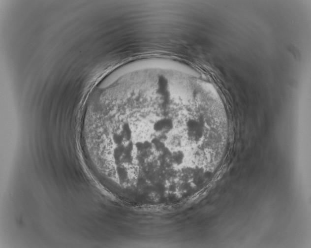 X0000112020049200909141044