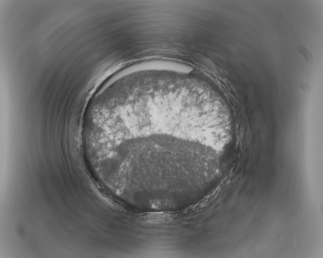 X0000112020050200909141044