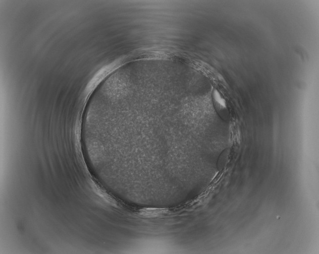 X0000112020051200909141044