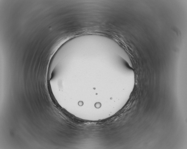 X0000112020052200909141044