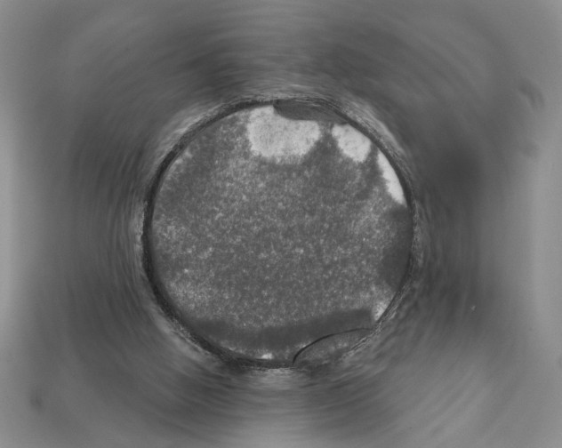 X0000112020058200909141044