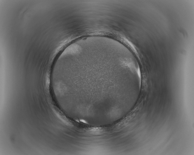 X0000112020059200909141044