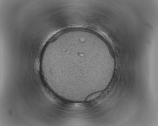 X0000112020060200909141044