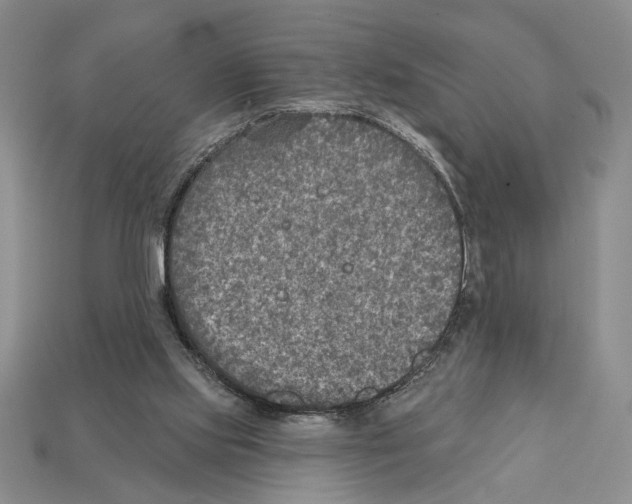 X0000112020061200909141044