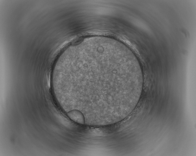 X0000112020062200909141044