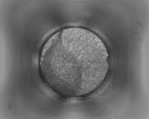 X0000112020064200909141044