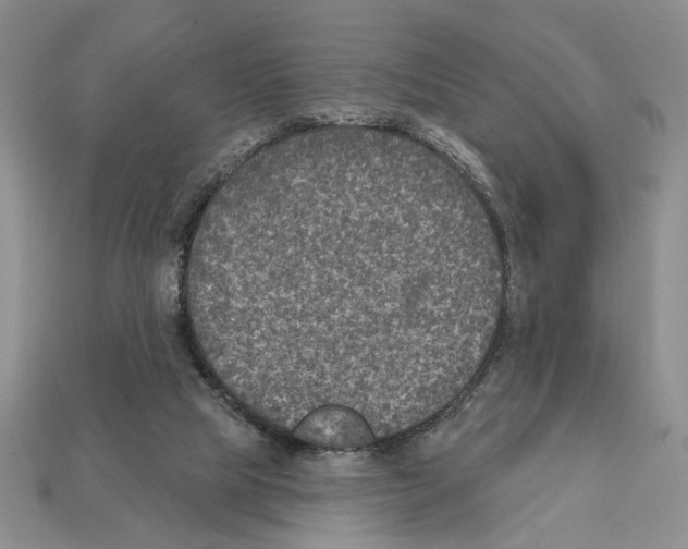 X0000112020065200909141044