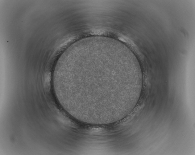 X0000112020066200909141044