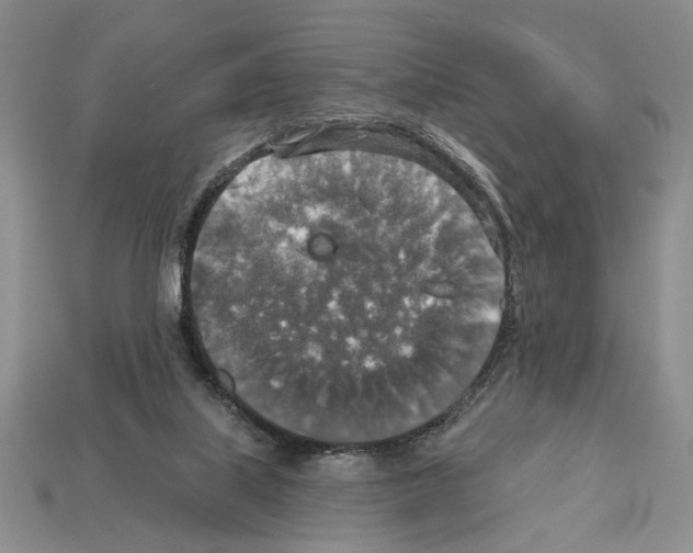 X0000112020067200909141044