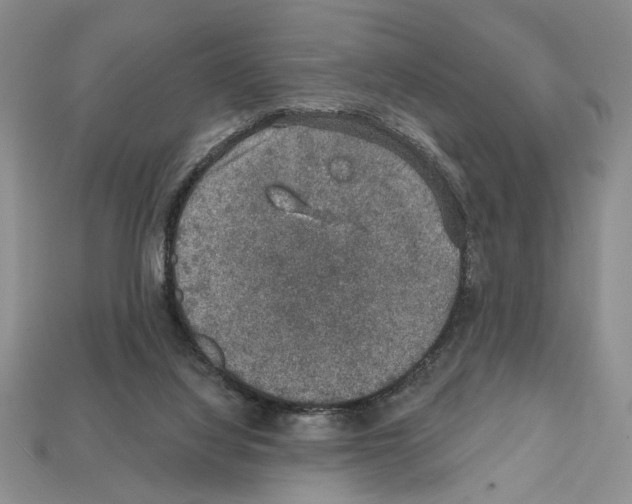 X0000112020068200909141044