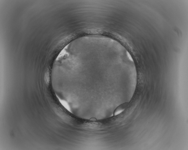 X0000112020069200909141044