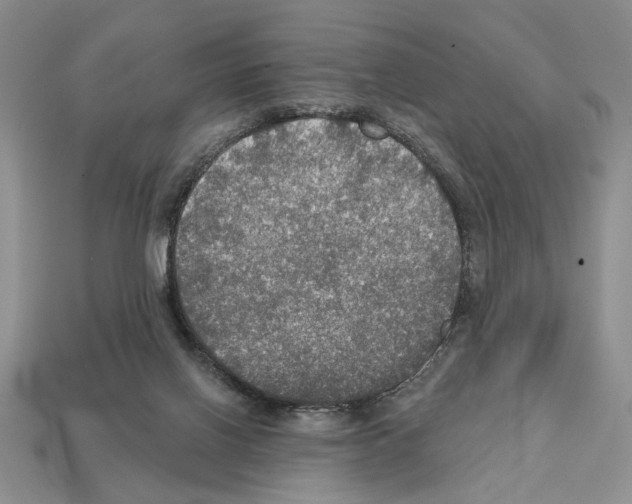 X0000112020070200909141044