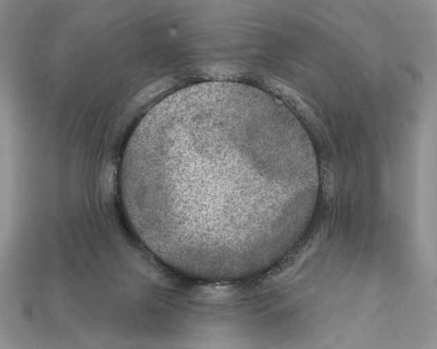 X0000112020071200909141044