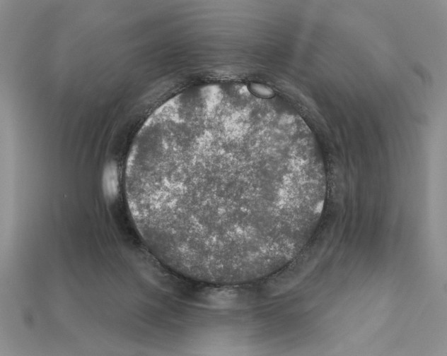 X0000112020075200909141044