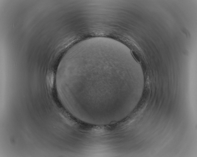 X0000112020076200909141044