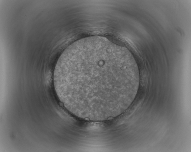 X0000112020077200909141044