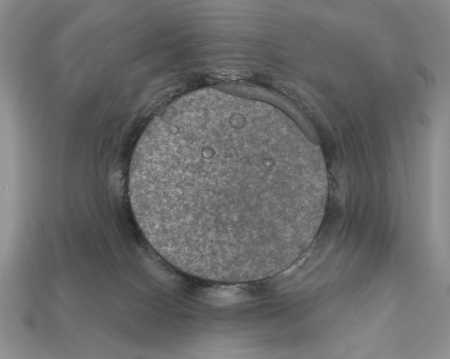 X0000112020086200909141045