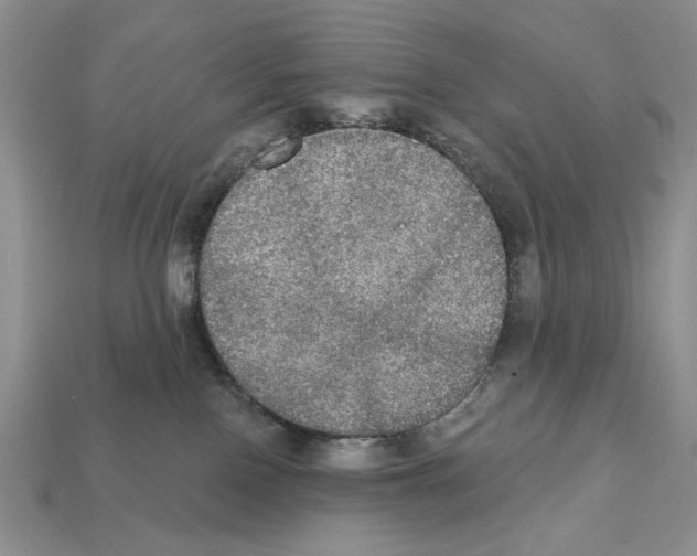 X0000112020090200909141045