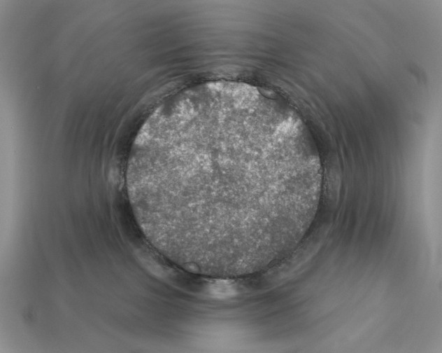 X0000112020091200909141045