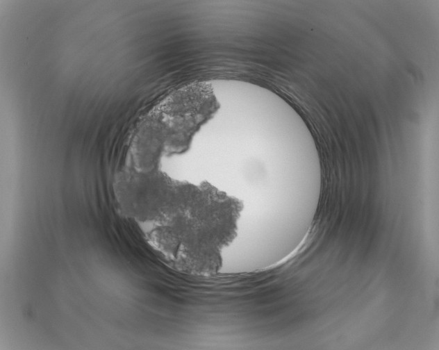 X0000112020094200909141045