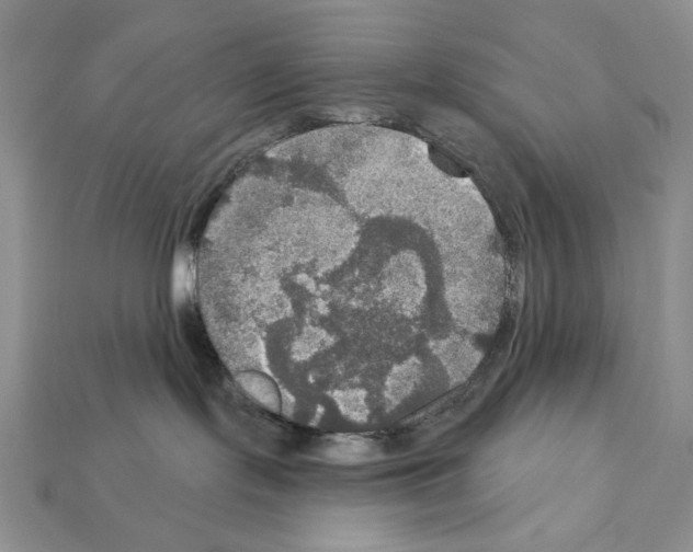 X0000112020095200909141045