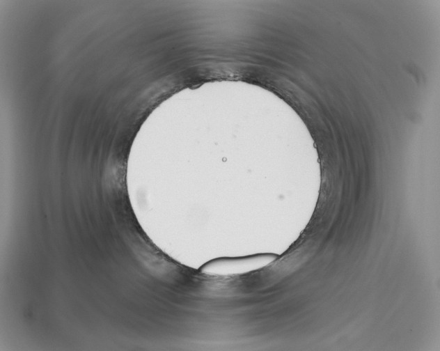 X0000112020096200909141045