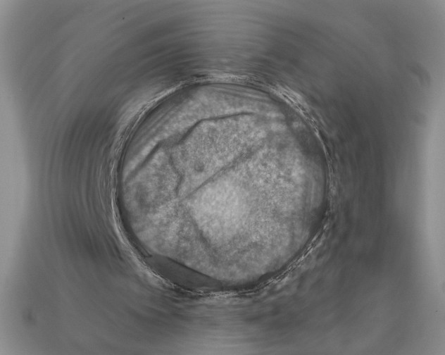 X0000112020097200909141044