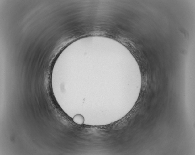 X0000112020098200909141044