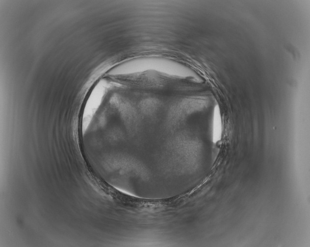 X0000112020099200909141044