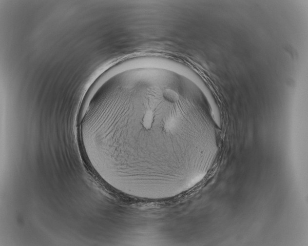 X0000112020100200909141044