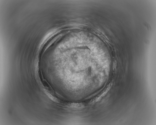 X0000112020101200909141044