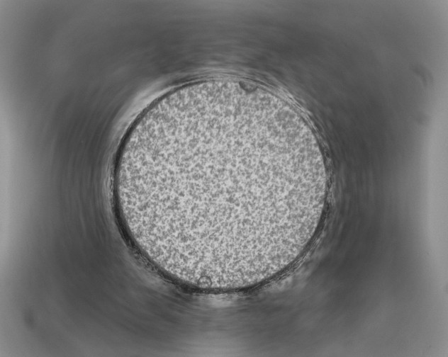 X0000112020103200909141044