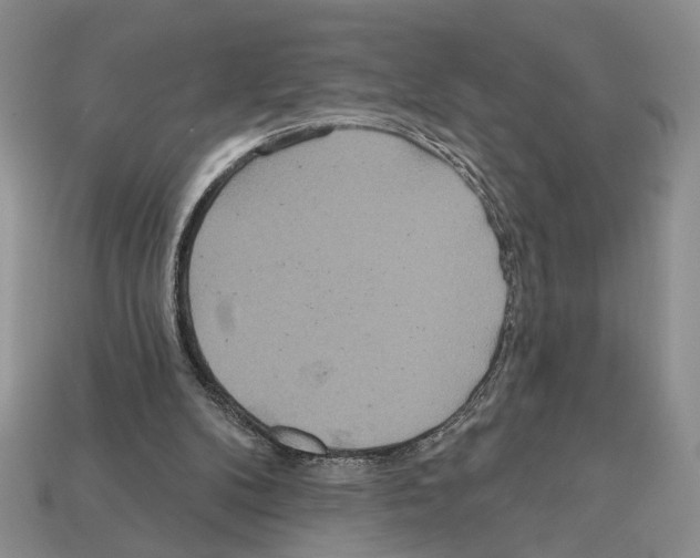 X0000112020104200909141044