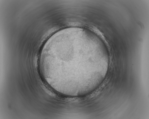 X0000112020106200909141044