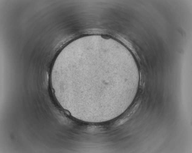 X0000112020109200909141044