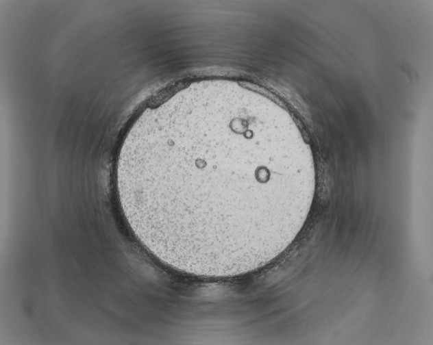 X0000112020111200909141044