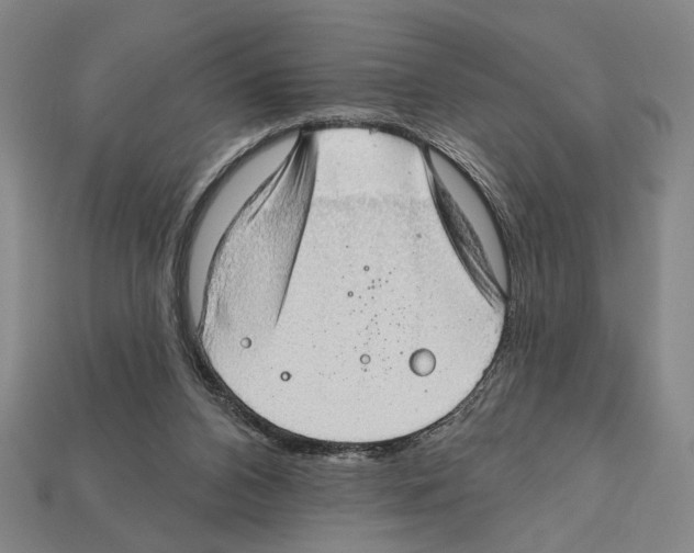 X0000112020112200909141044