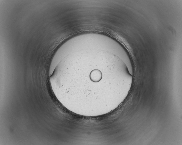 X0000112020113200909141044