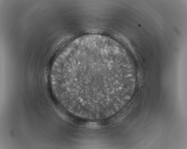 X0000112020114200909141044