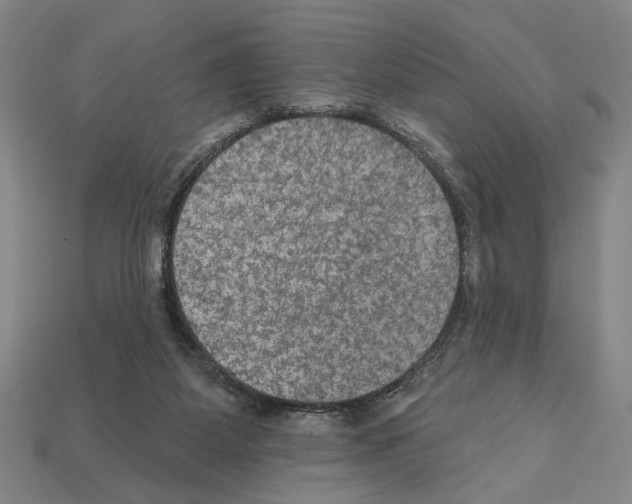 X0000112020115200909141044