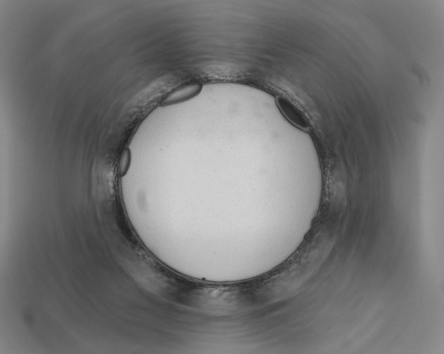 X0000112020117200909141044