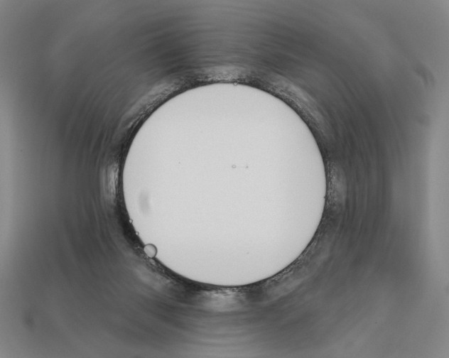 X0000112020118200909141044