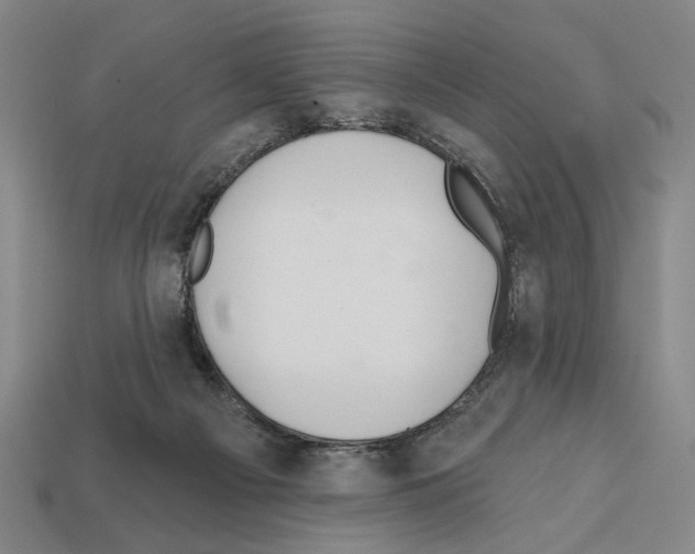 X0000112020121200909141044