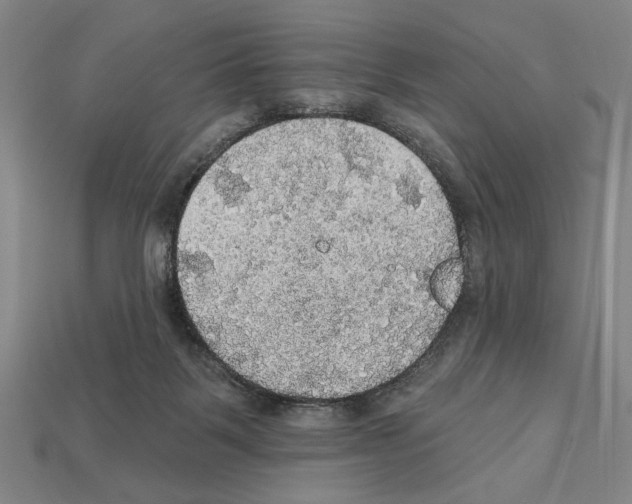 X0000112020123200909141044