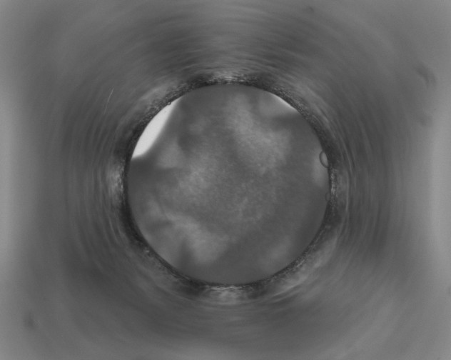 X0000112020127200909141043