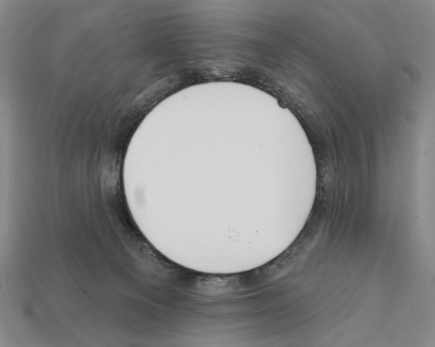 X0000112020129200909141043