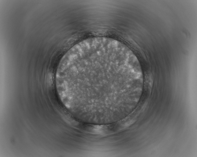 X0000112020130200909141043