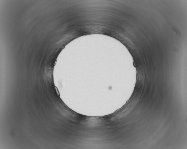 X0000112020141200909141043