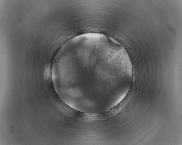 X0000112020143200909141043