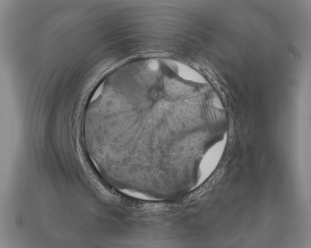 X0000112020145200909141042